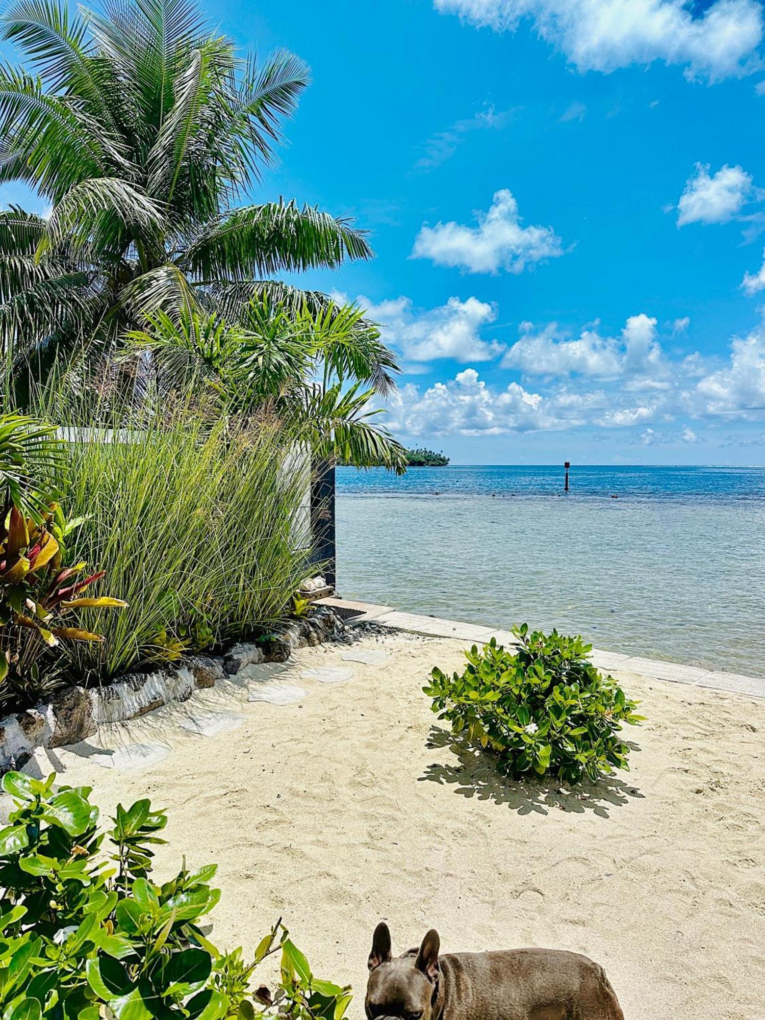 Pension Irivai, Appartement Rava 1 Chambre Bord De Mer Uturoa Bagian luar foto