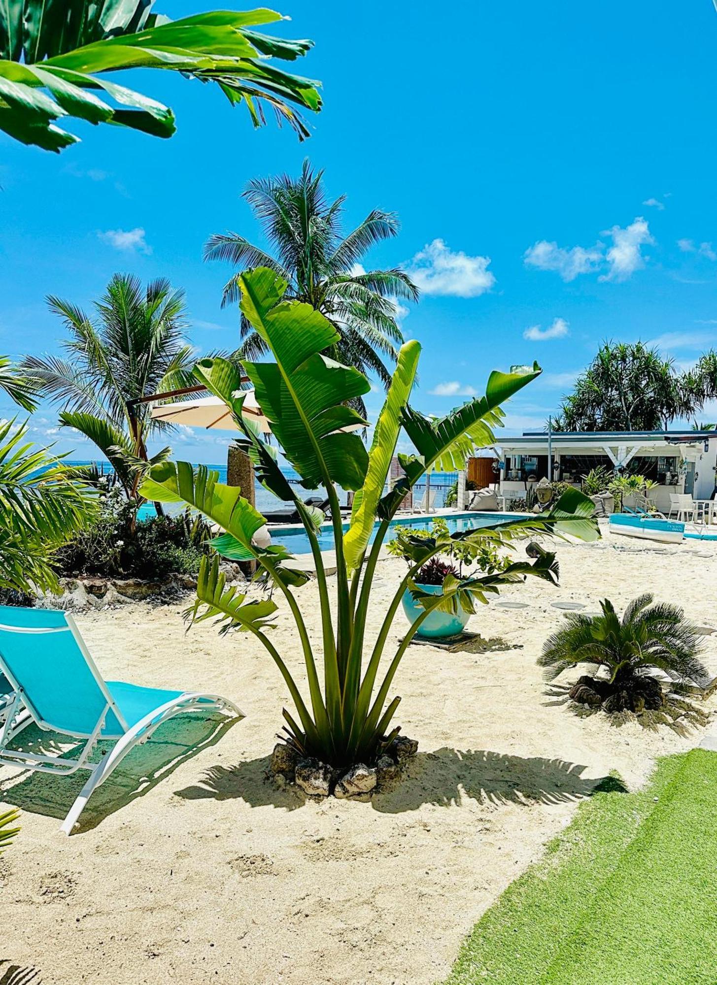 Pension Irivai, Appartement Rava 1 Chambre Bord De Mer Uturoa Bagian luar foto